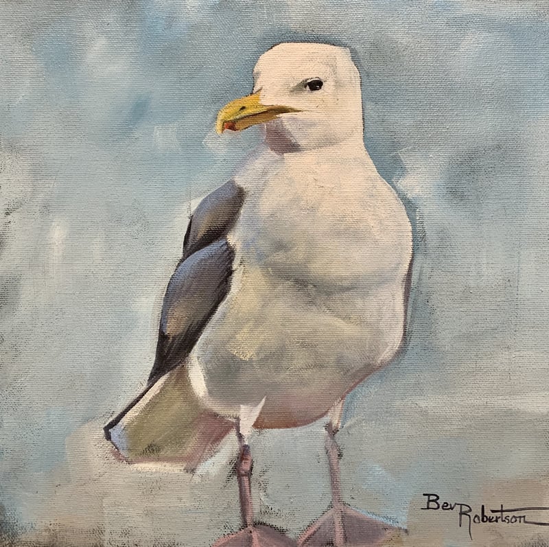 Gull III