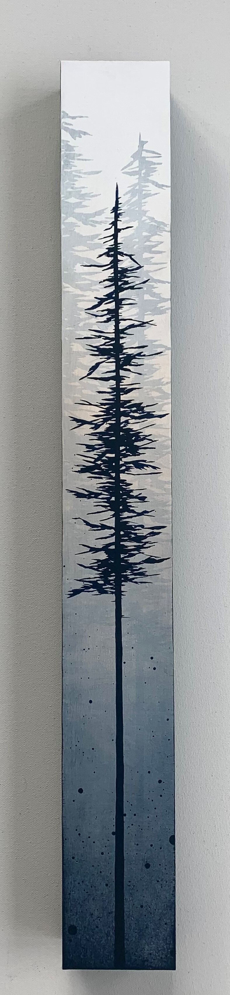 Tall Trees at Twilight 2