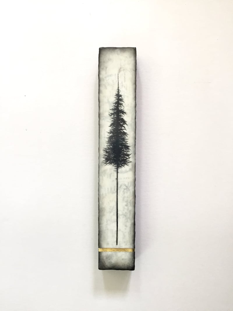 Tall Trees Series