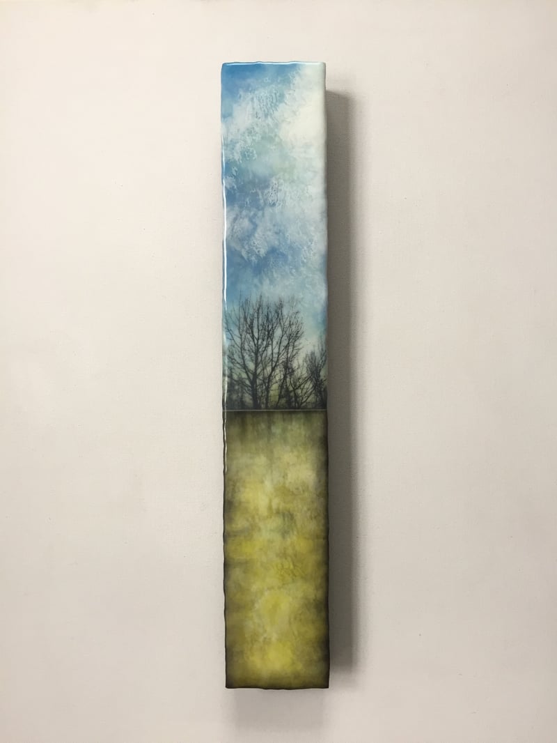 Shifting Skies