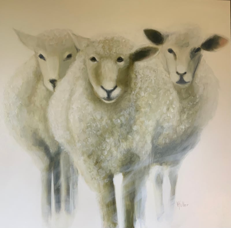 Counting Sheep