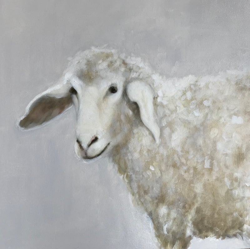Harriets Sheepfold