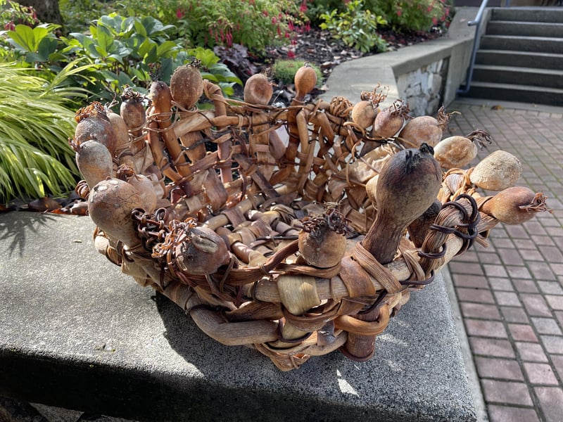 Large Bull Kelp basket