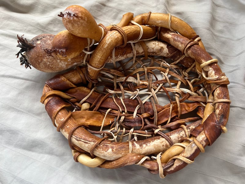 Bull Kelp Basket