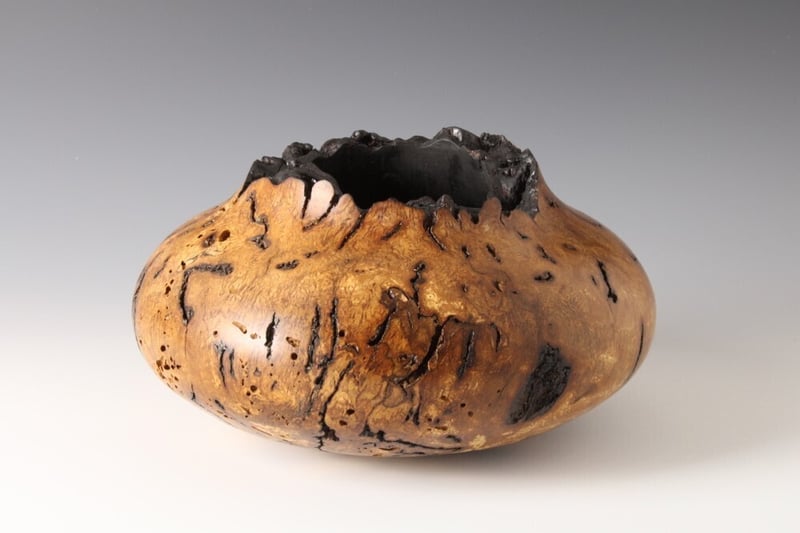 Garry Oak Burl
