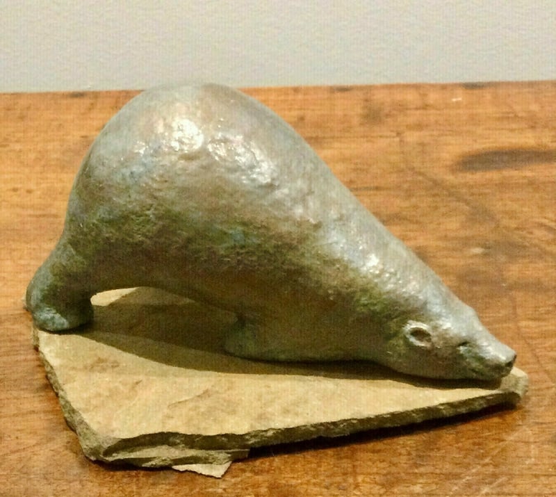 Yoga Bear Downward Dog