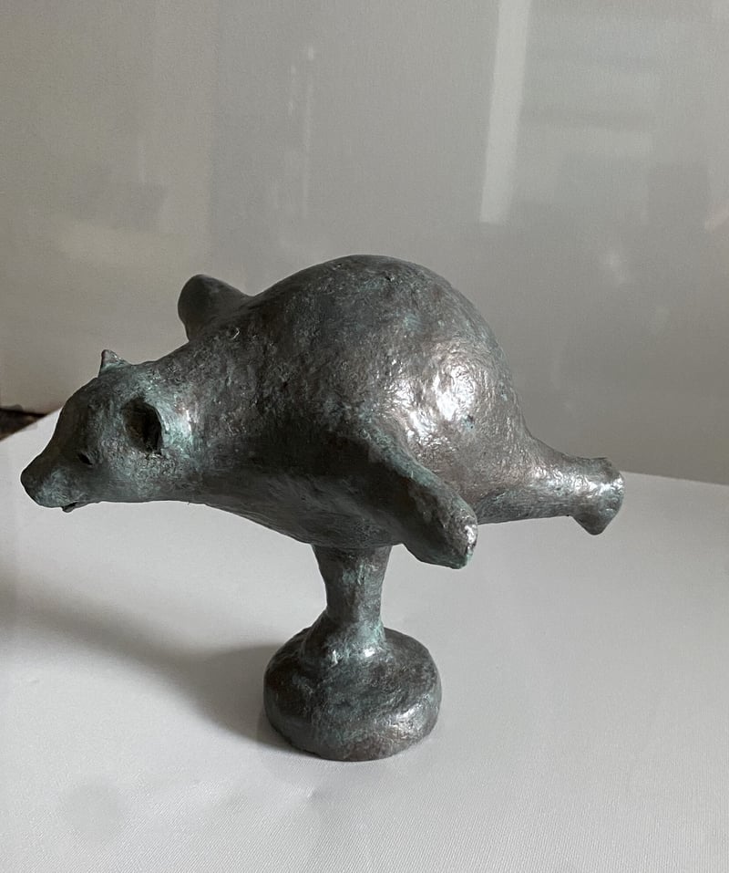 Yoga Bear “Airplane Poseâ€