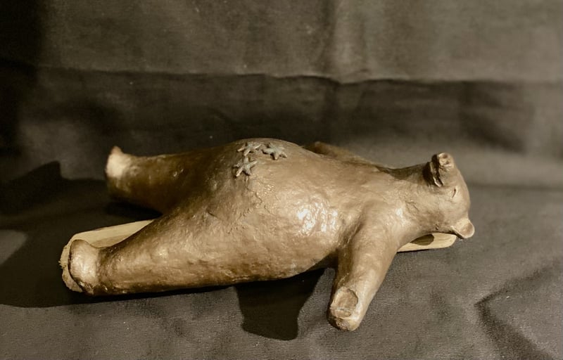 Seastar Savasana