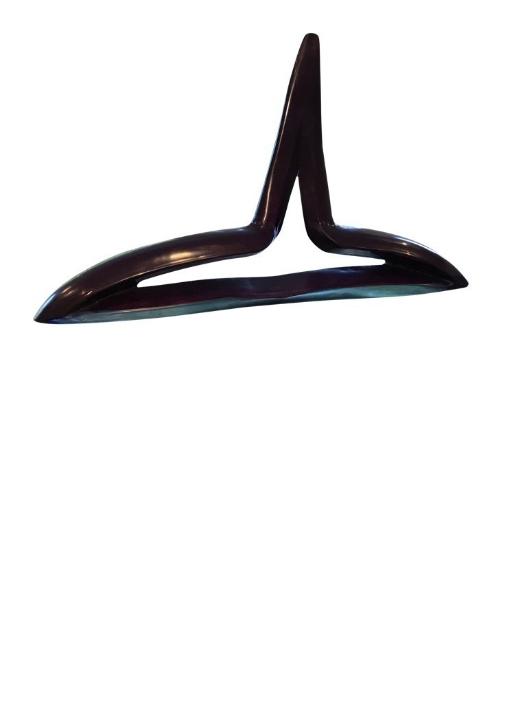 Orca