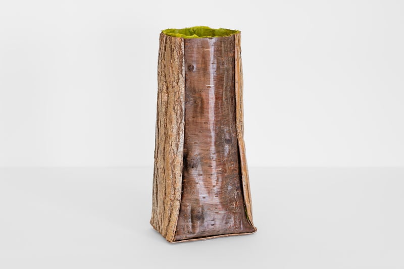 The Material has Memory (Moss)