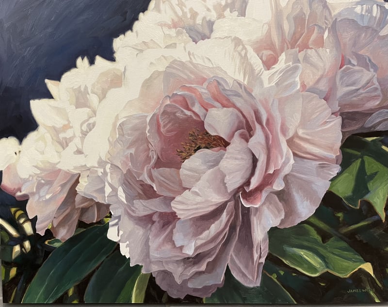 Group of Blooms