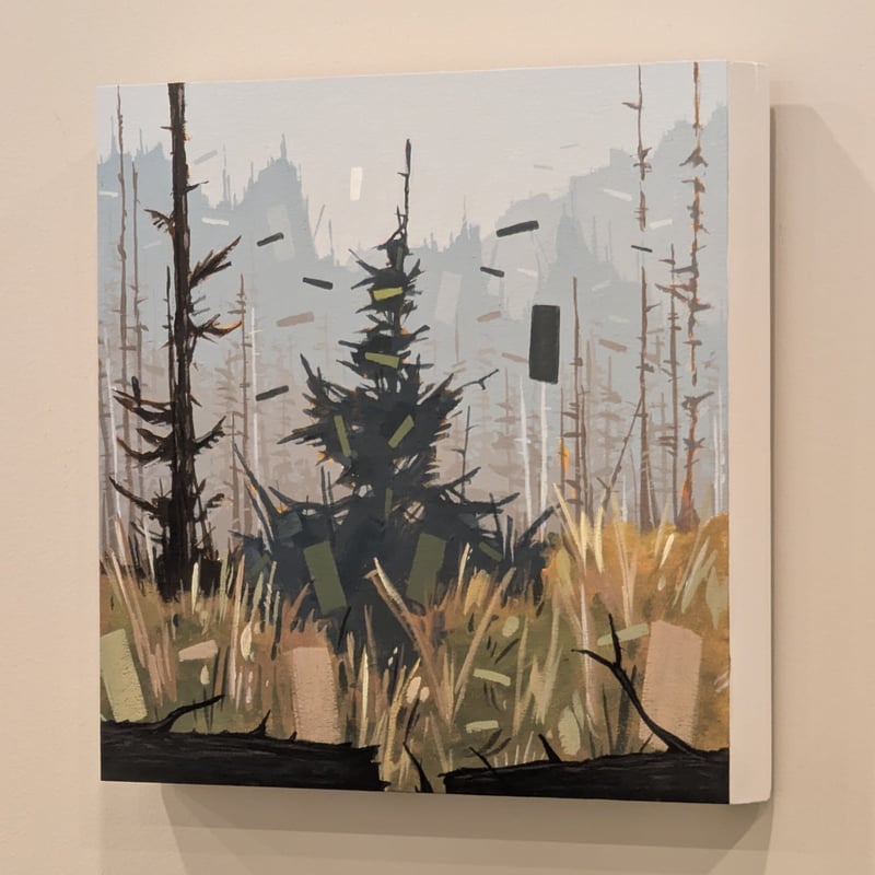Spruce Trails