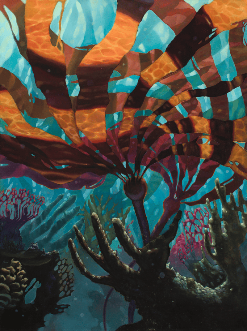Dappled Depths