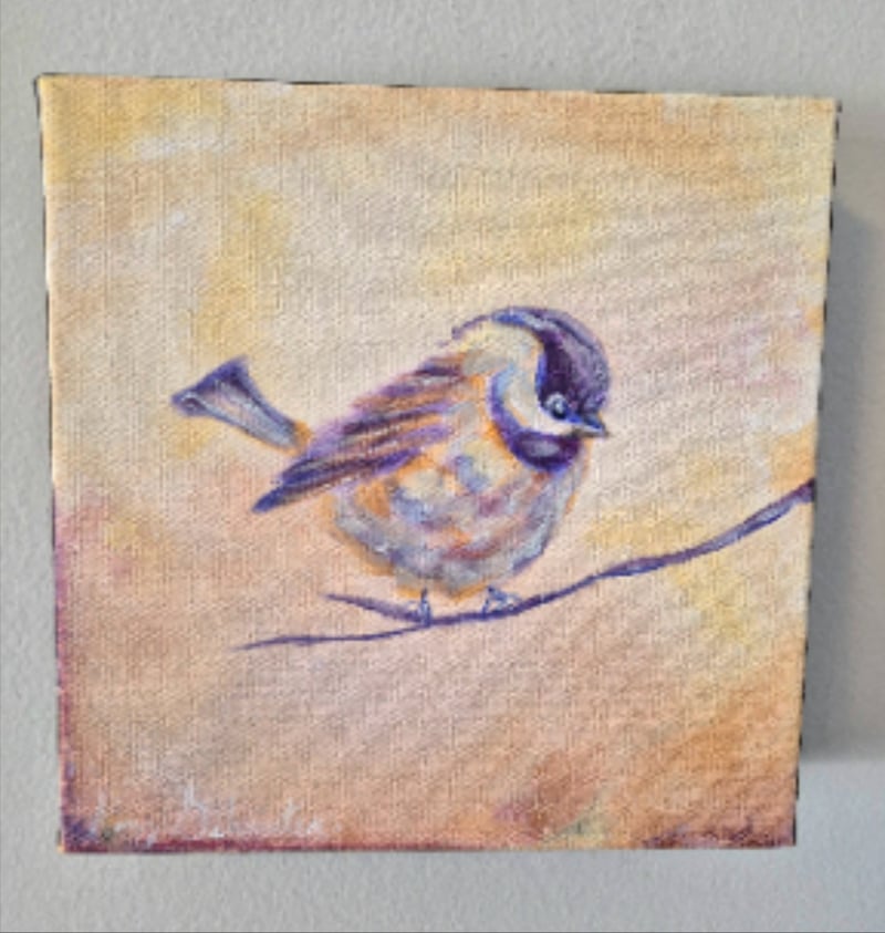 Chickadee I