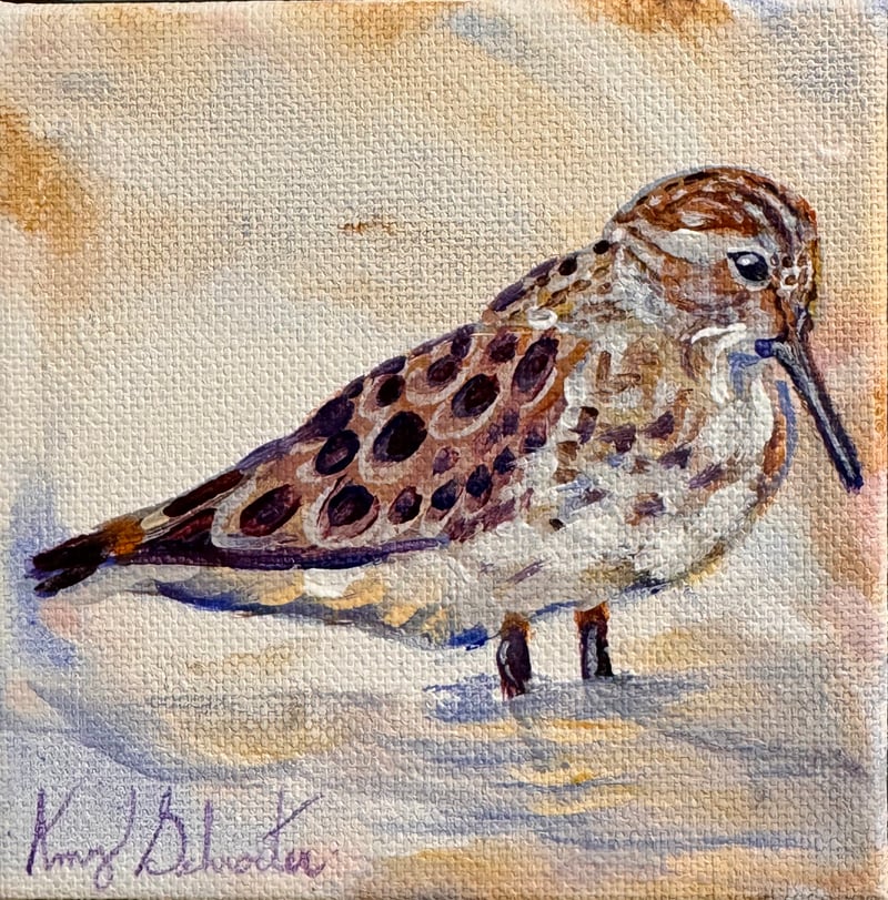 Sandpiper IV