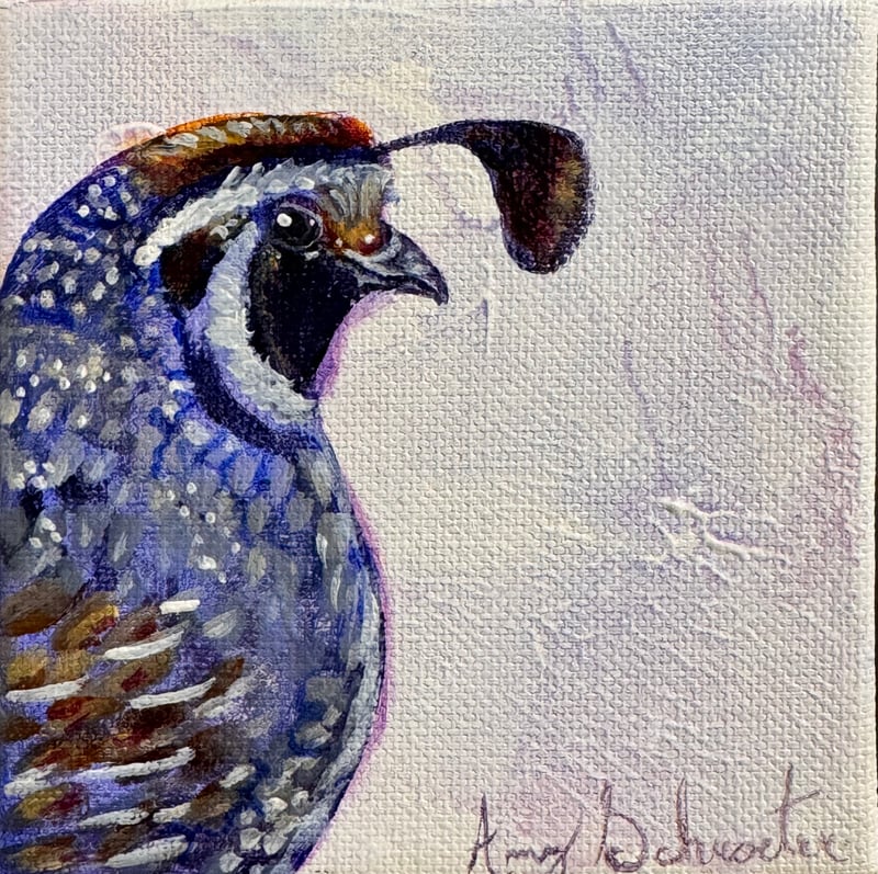 Quail II