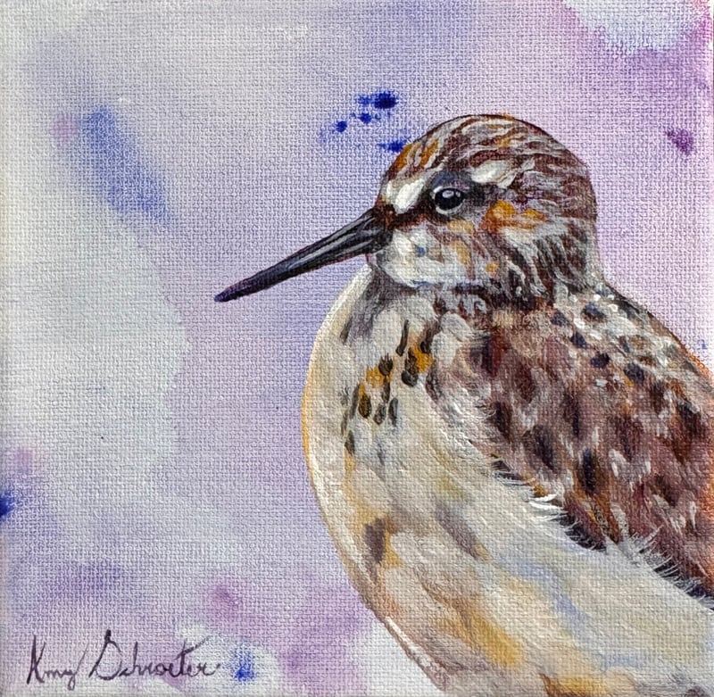 Sandpiper V